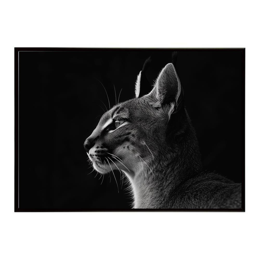 A2サイズ（約42x59cm）】【lh-poster-6289】Caracal カラカル カラカル