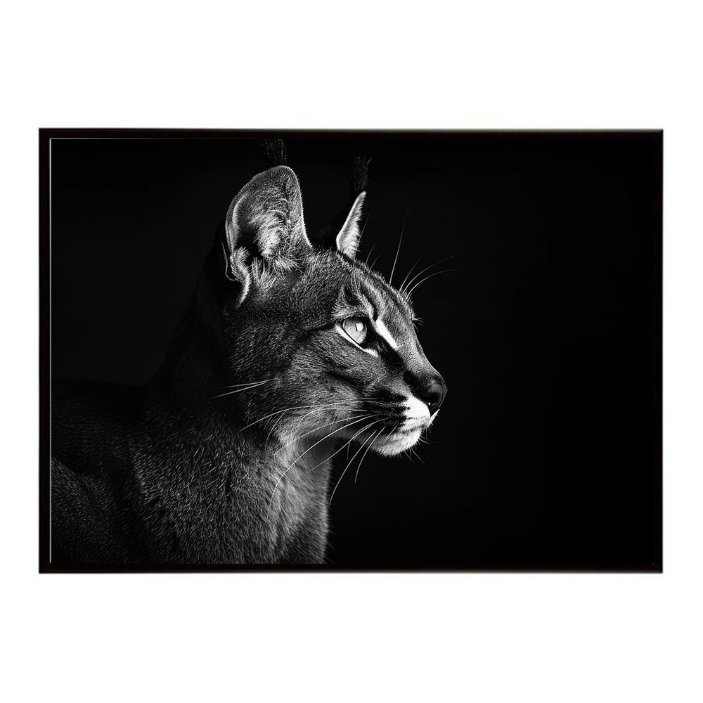 A2サイズ（約42x59cm）】【lh-poster-6290】Caracal カラカル カラカル