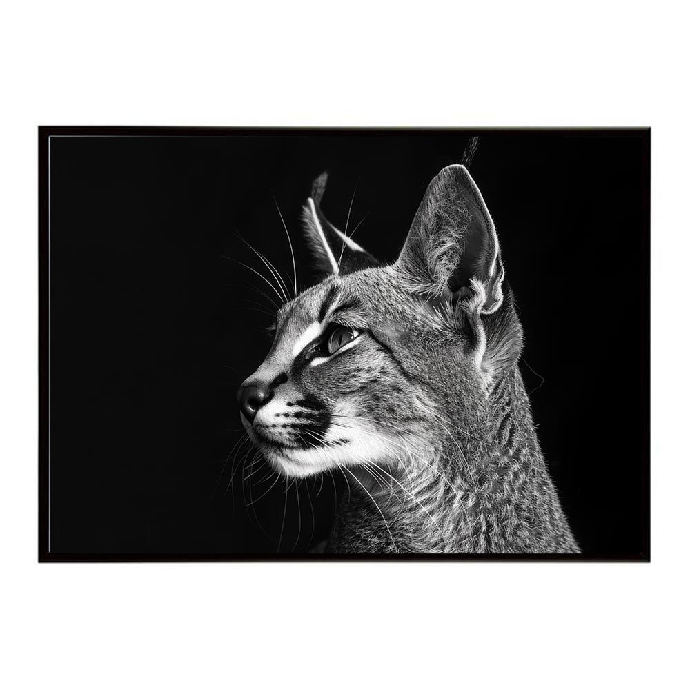 B2サイズ（約51x73cm）】【lh-poster-6291】Caracal カラカル カラカル