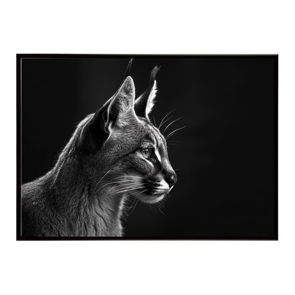 【A2サイズ（約42x59cm）】【lh-poster-6293】Caracal カラカル カラカルキャット サバンナ アフリカ 草原 自然 ネイチャー 動物 アニマル 野生動物 写真 猫ポスター インテリア フォト