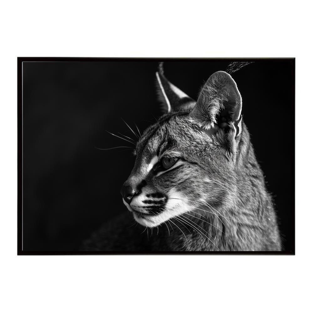 詩とメルヘン 24冊セット 昭和50年~52年 特別付録あり 臨時増刊号2冊