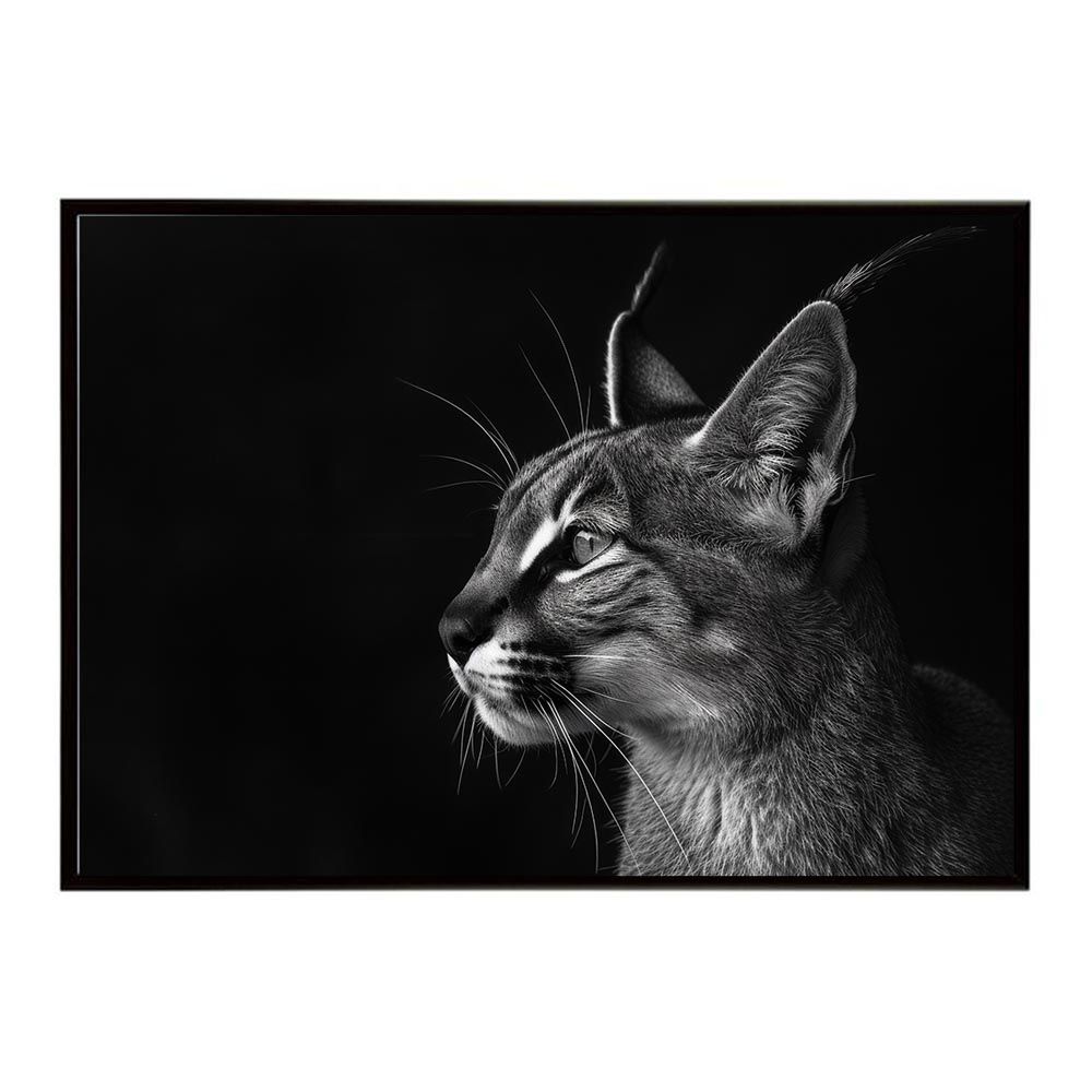 【A2サイズ（約42x59cm）】【lh-poster-6307】Caracal カラカル カラカルキャット サバンナ アフリカ 草原 自然 ネイチャー 動物 アニマル 野生動物 写真 猫ポスター インテリア フォト