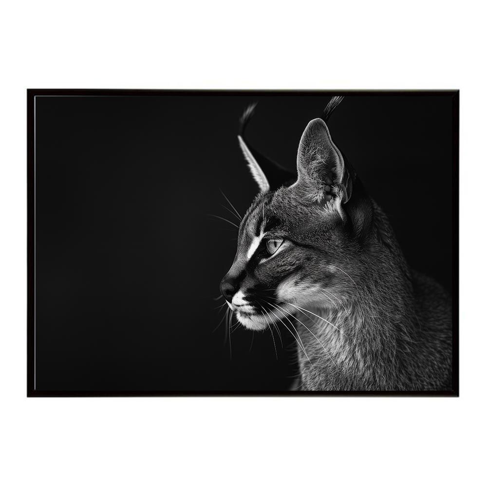ネコページ インテリア小物 【A4サイズ（約21x30cm）】【lh-poster-6309】Caracal