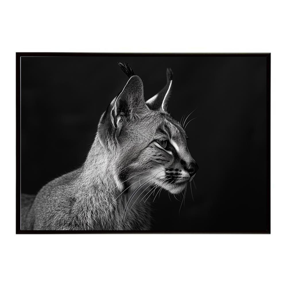 【A2サイズ（約42x59cm）】【lh-poster-6310】Caracal カラカル カラカルキャット サバンナ アフリカ 草原 自然 ネイチャー 動物 アニマル 野生動物 写真 猫ポスター インテリア フォト