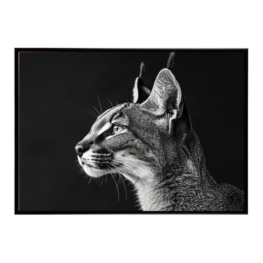 棟方志功～田下家(新潟) 宛て一富士二鷹三茄子・達磨 年賀｜