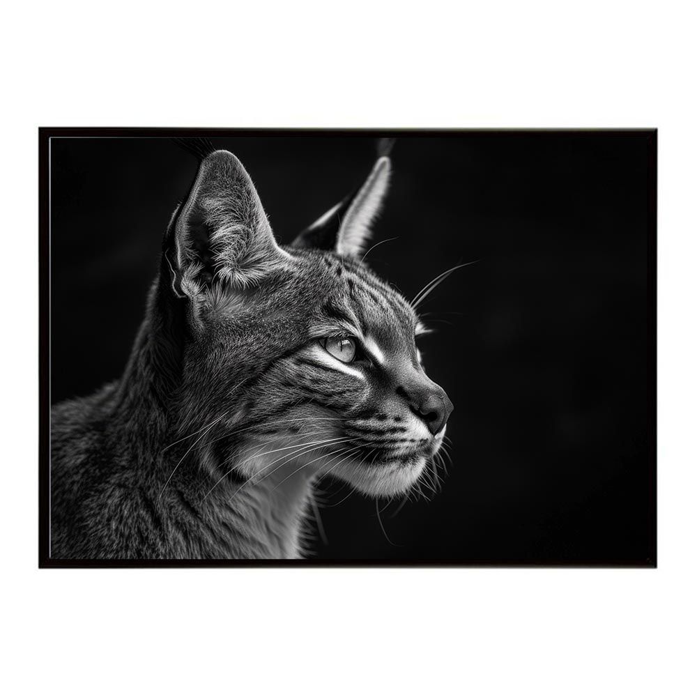 【B2サイズ（約51x73cm）】【lh-poster-6313】Caracal カラカル カラカルキャット サバンナ アフリカ 草原 自然 ネイチャー 動物 アニマル 野生動物 写真 猫ポスター インテリア フォト