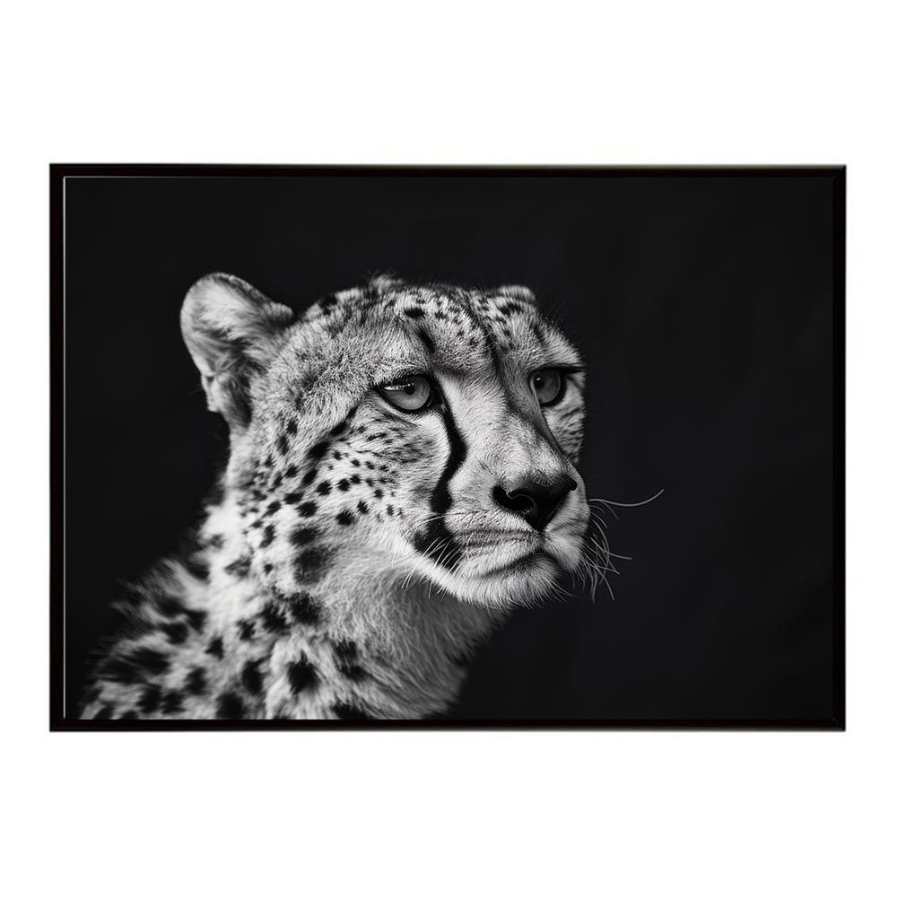 インテリア小物 【A2サイズ（約42x59cm）】【lh-poster-6324】Cheetah チーター サバンナ アフリカ 草原 自然 ネイチャー 動物 アニマル 野生動物 写真 猫ポスター インテリア フォト