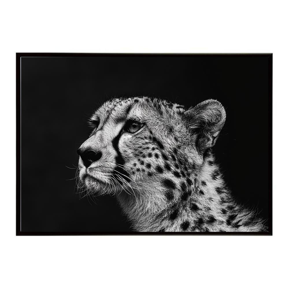 【A2サイズ（約42x59cm）】【lh-poster-6327】Cheetah チーター サバンナ アフリカ 草原 自然 ネイチャー 動物 アニマル 野生動物 写真 猫ポスター インテリア フォト