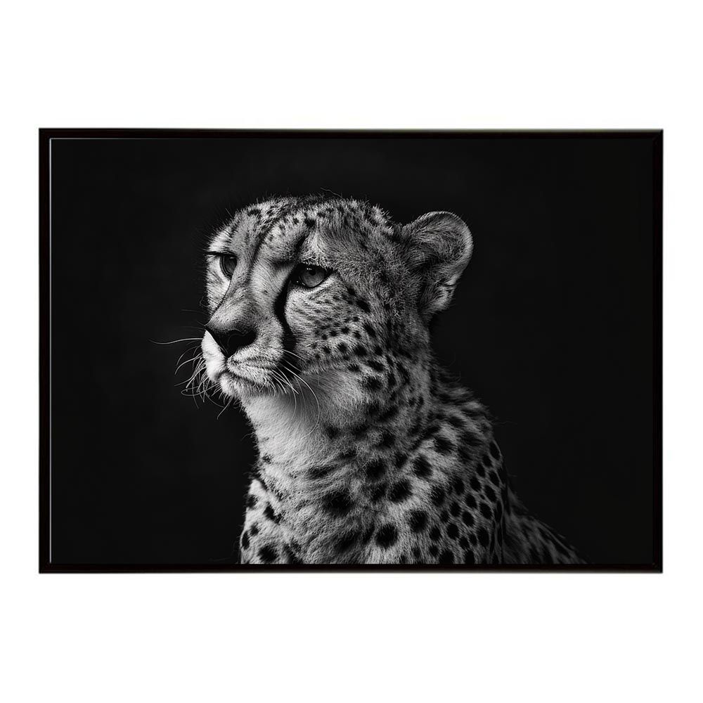 Salomon レディース スノーボードブーツ 24.0cm ブーツケース付 キャロウェイ EPIC SPEED 5W フェアウェイウッド FW Diamana 50 for CW