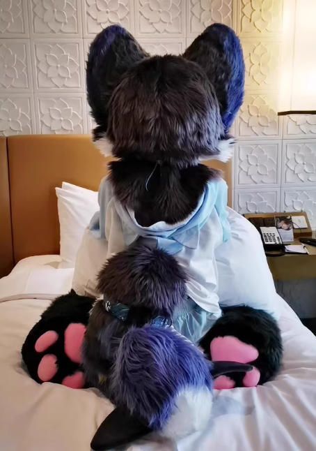 着ぐるみ ケモノ体 フルスーツ セット NO 74 犬 紺色 グレー 全頭ヘッド ファースーツ ぬいぐるみ コスプレ コスチューム