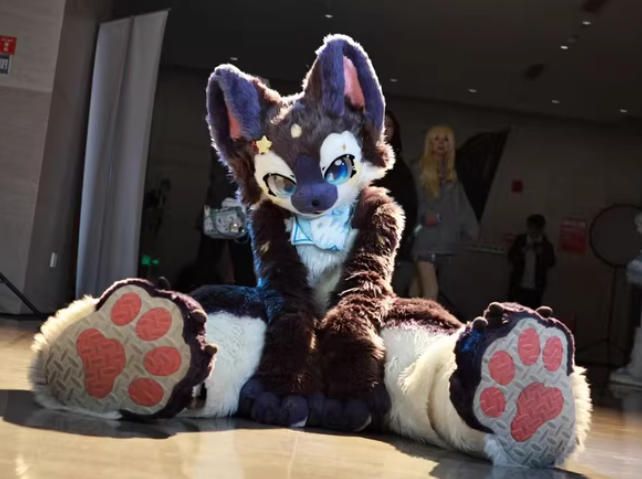 着ぐるみ ケモノ体 フルスーツ セット NO.74 犬 紺色 グレー 全頭ヘッド ファースーツ ぬいぐるみ コスプレ コスチューム 一点物