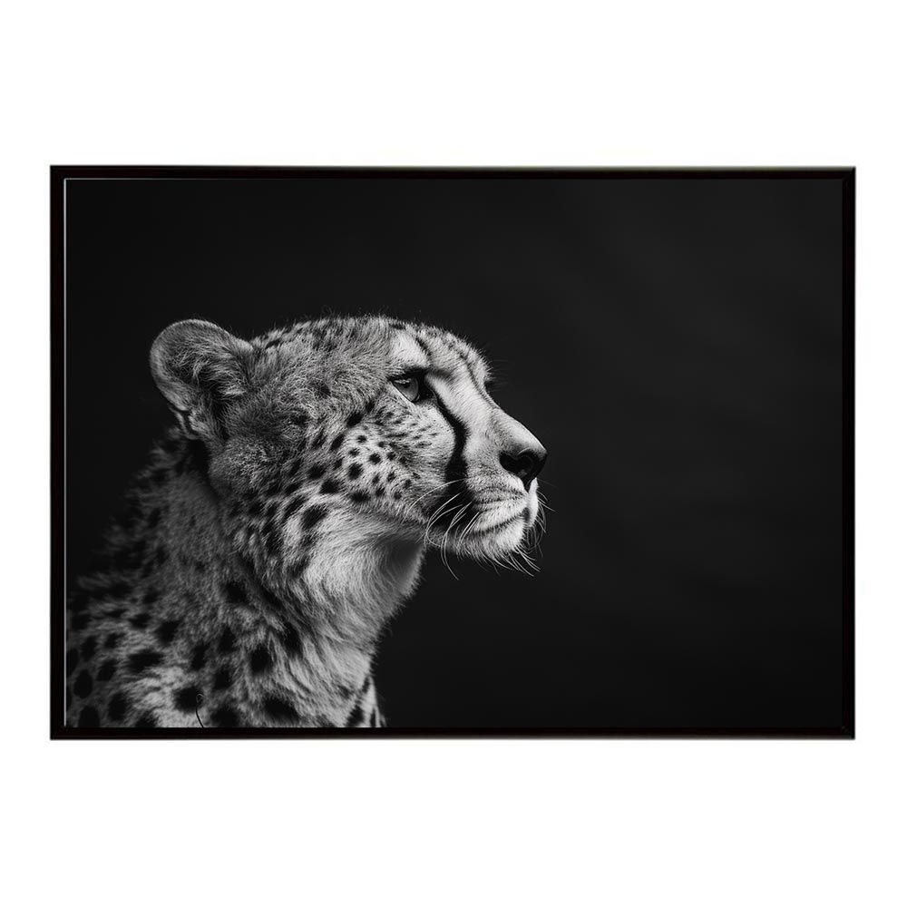 B2サイズ（約51x73cm）】【lh-poster-6345】Cheetah チーター サバンナ