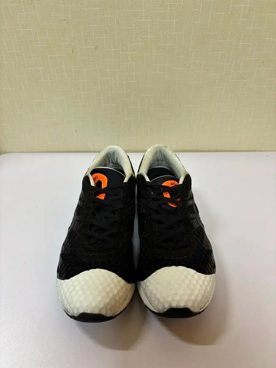 24時間セール中苗　レア　ホヤ アルゲンティア プリンセス サクララン　美株 レア ホヤ アルゲンティア プリンセス サクララン 美株 中苗① Hoya