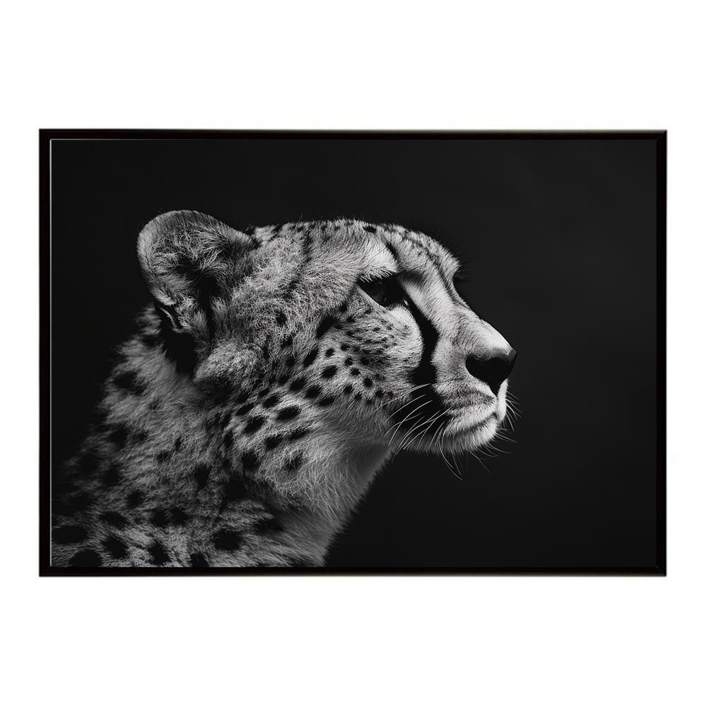 初期 マルジェラ 02aw 花鳥風月 ドレスシャツ Ⅱ 46 黒 白