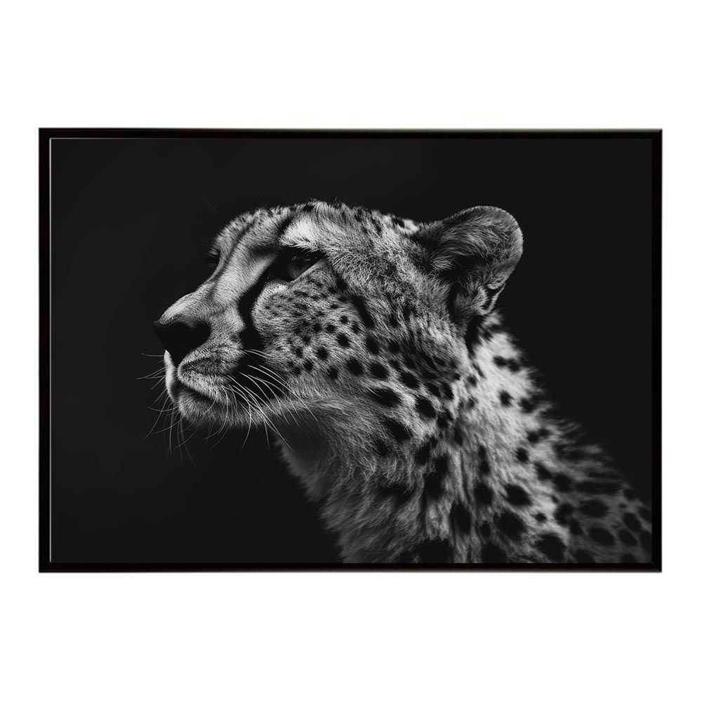 Cheeda Meraci 【B4サイズ(約25x36cm)】【lh-poster-6370】Cheetah チーター サバンナ アフリカ 草原 自然 ネイチャー 動物 ...