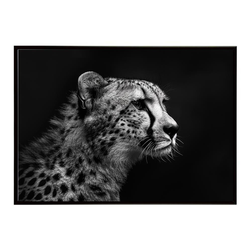 VANILLA LIMITED ver ディスプレイラス1