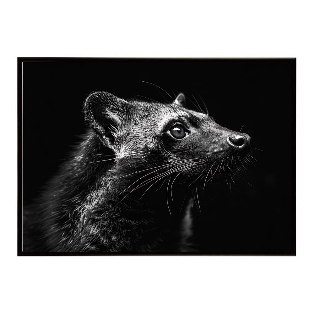 最も安い 【A3サイズ（約30×42cm）】【lh-poster-6383】Civet シベット