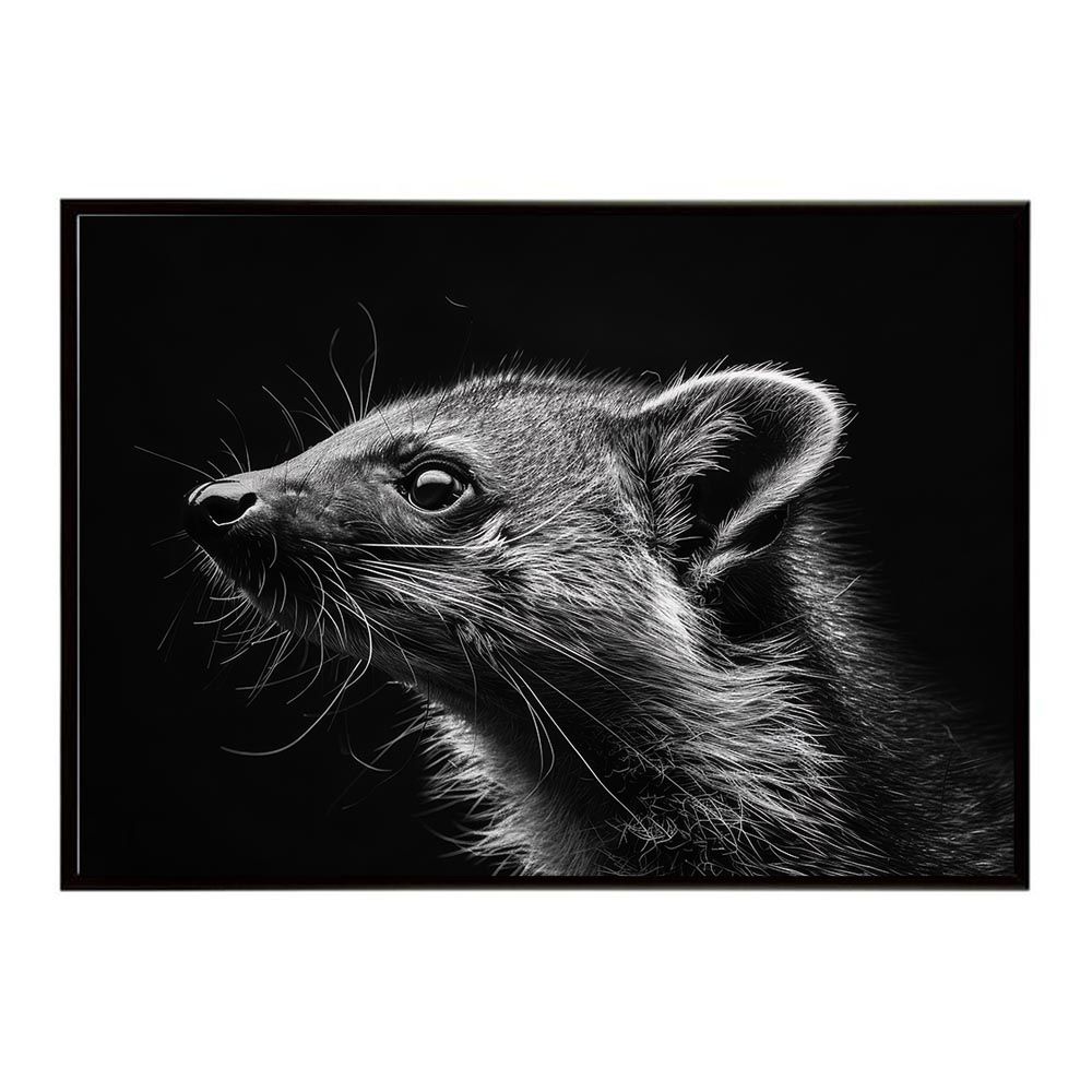 【A2サイズ（約42x59cm）】【lh-poster-6392】Civet シベット ジビエ 猫 サバンナ アフリカ 草原 自然 ネイチャー 動物 アニマル 野生動物 インテリア フォト