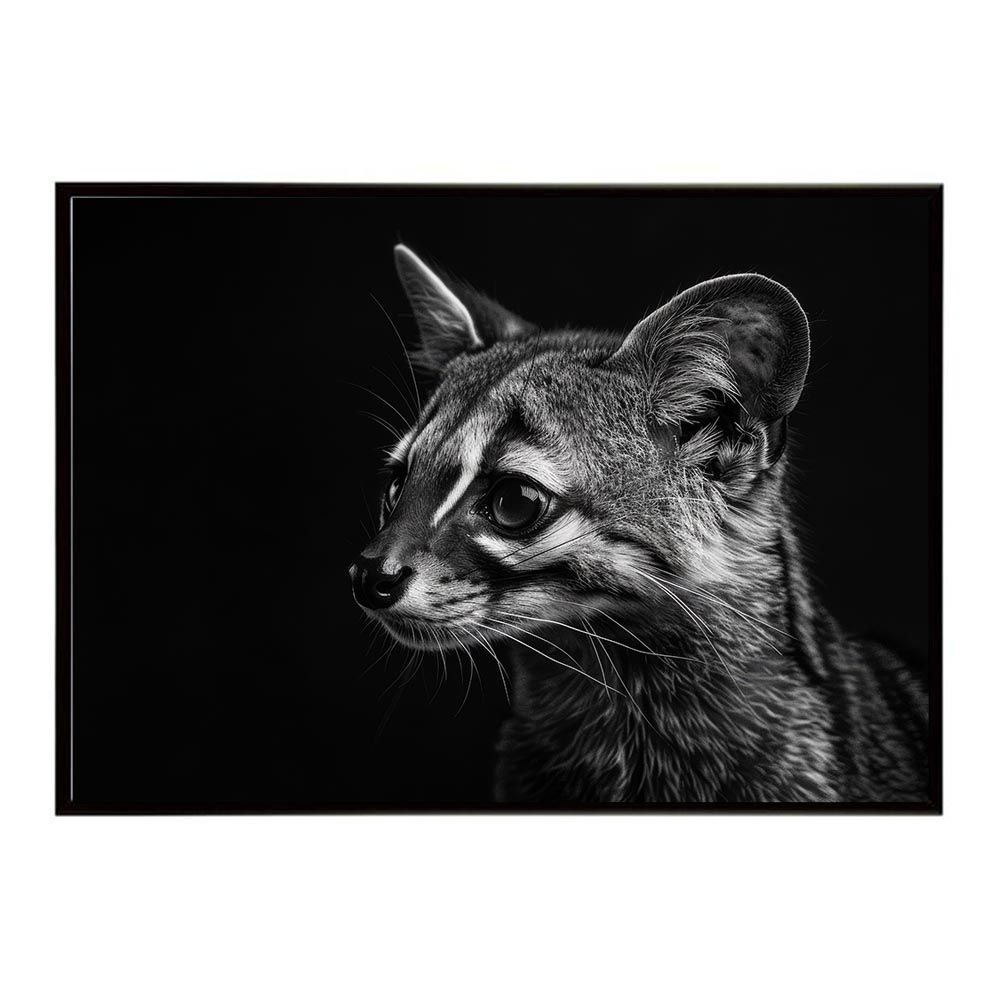 B4サイズ（約25x36cm）】【lh-poster-6410】Genet ジェネット 猫