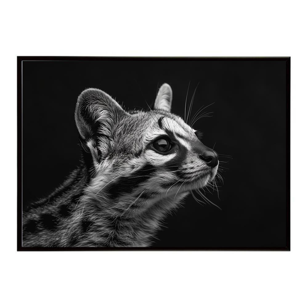 【B2サイズ（約51x73cm）】【lh-poster-6416】Genet ジェネット 猫 サバンナ アフリカ 草原 自然 ネイチャー 動物 アニマル 野生動物 インテリア フォト