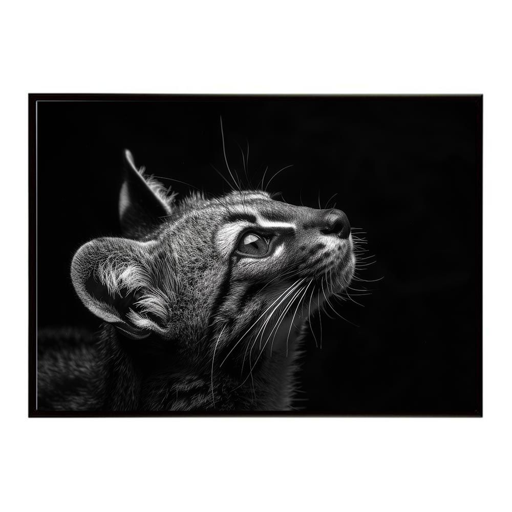 ア*読様 デッキ団の波壊Go! PROMOカード 3枚セットバラ売り可能です