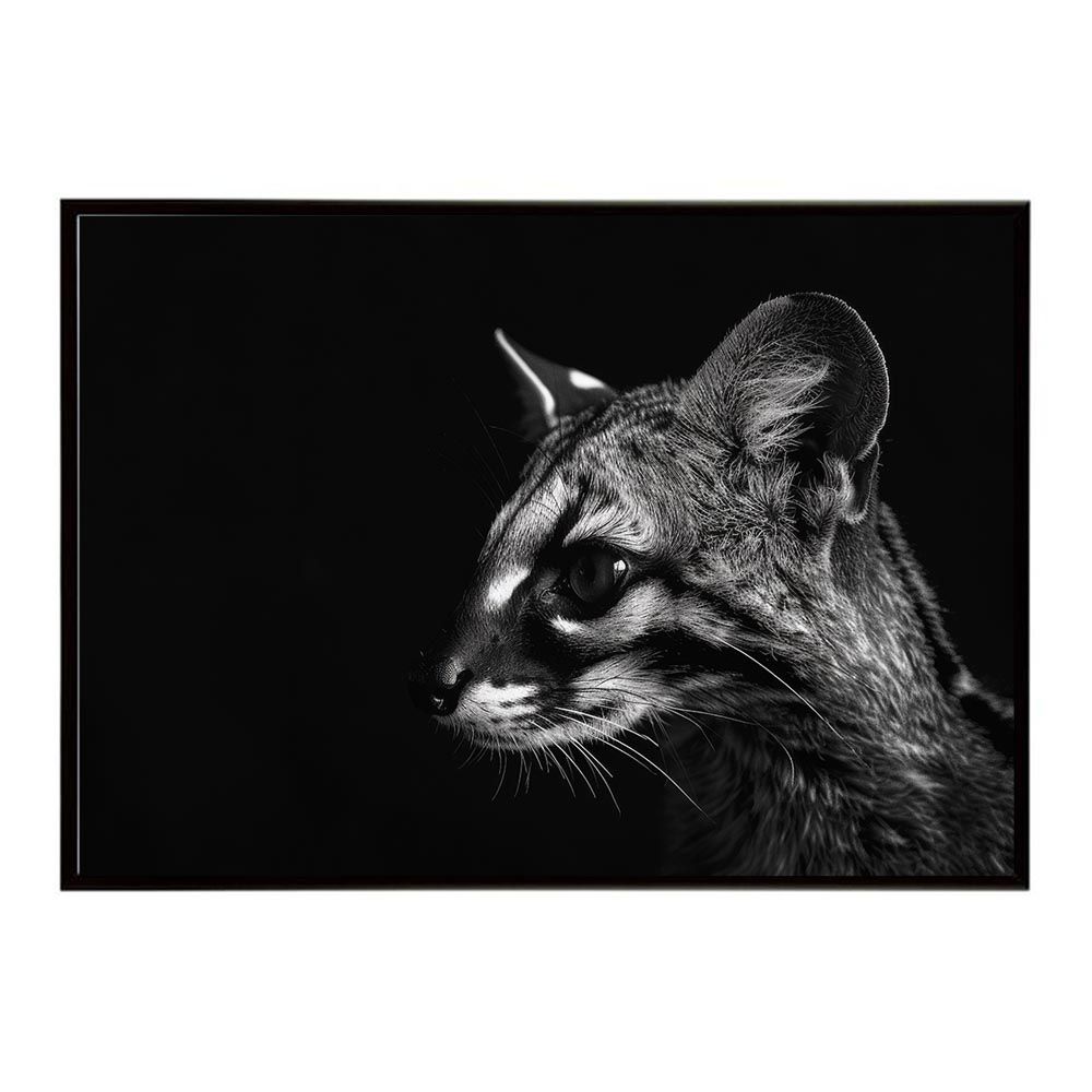 A4サイズ（約21x30cm）】【lh-poster-6424】Genet ジェネット 猫