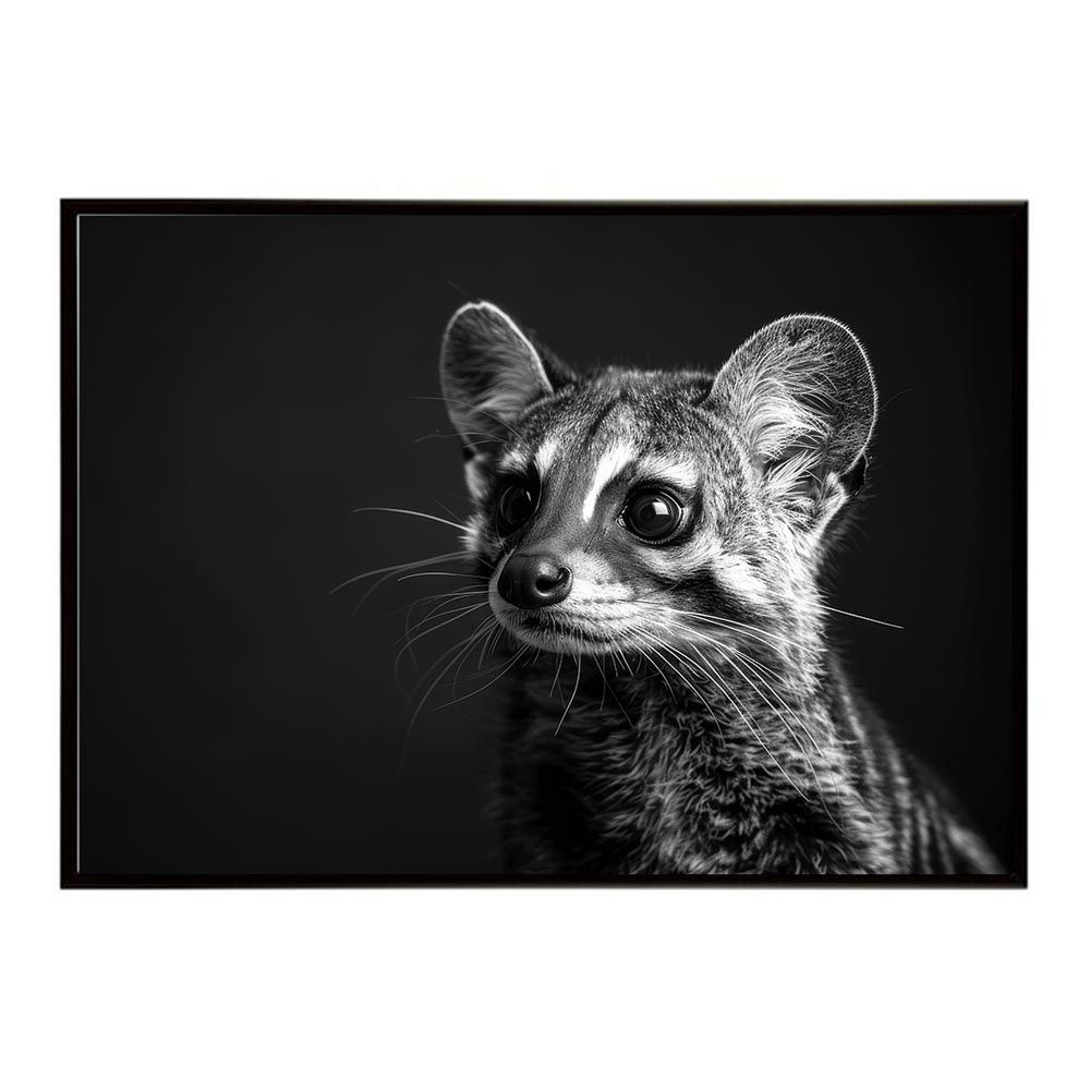 A2サイズ（約42x59cm）】【lh-poster-6431】Genet ジェネット 猫