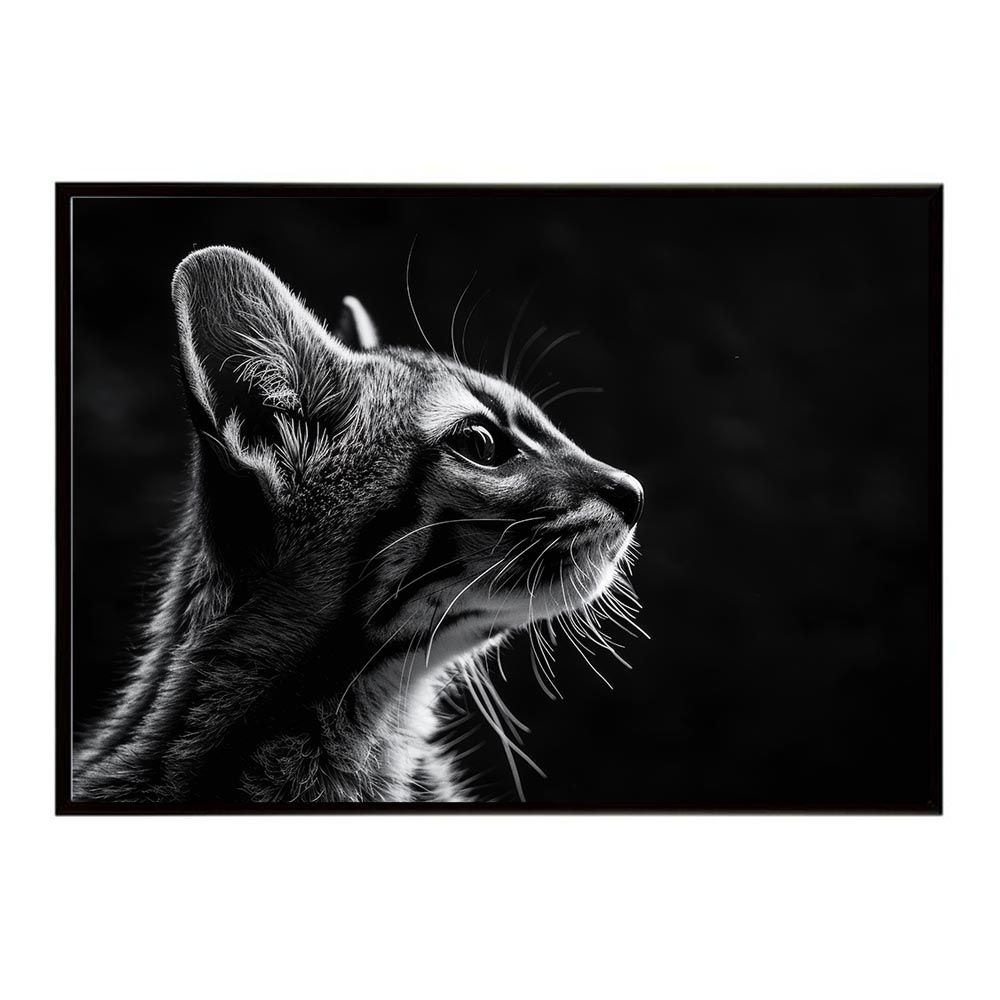 【B1サイズ（約73x103cm）】【lh-poster-6433】Genet ジェネット 猫 サバンナ アフリカ 草原 自然 ネイチャー 動物 アニマル 野生動物 インテリア フォト