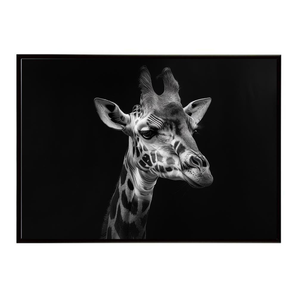 トアルソン パンドラ 希少限定品 シリアルナンバー 015