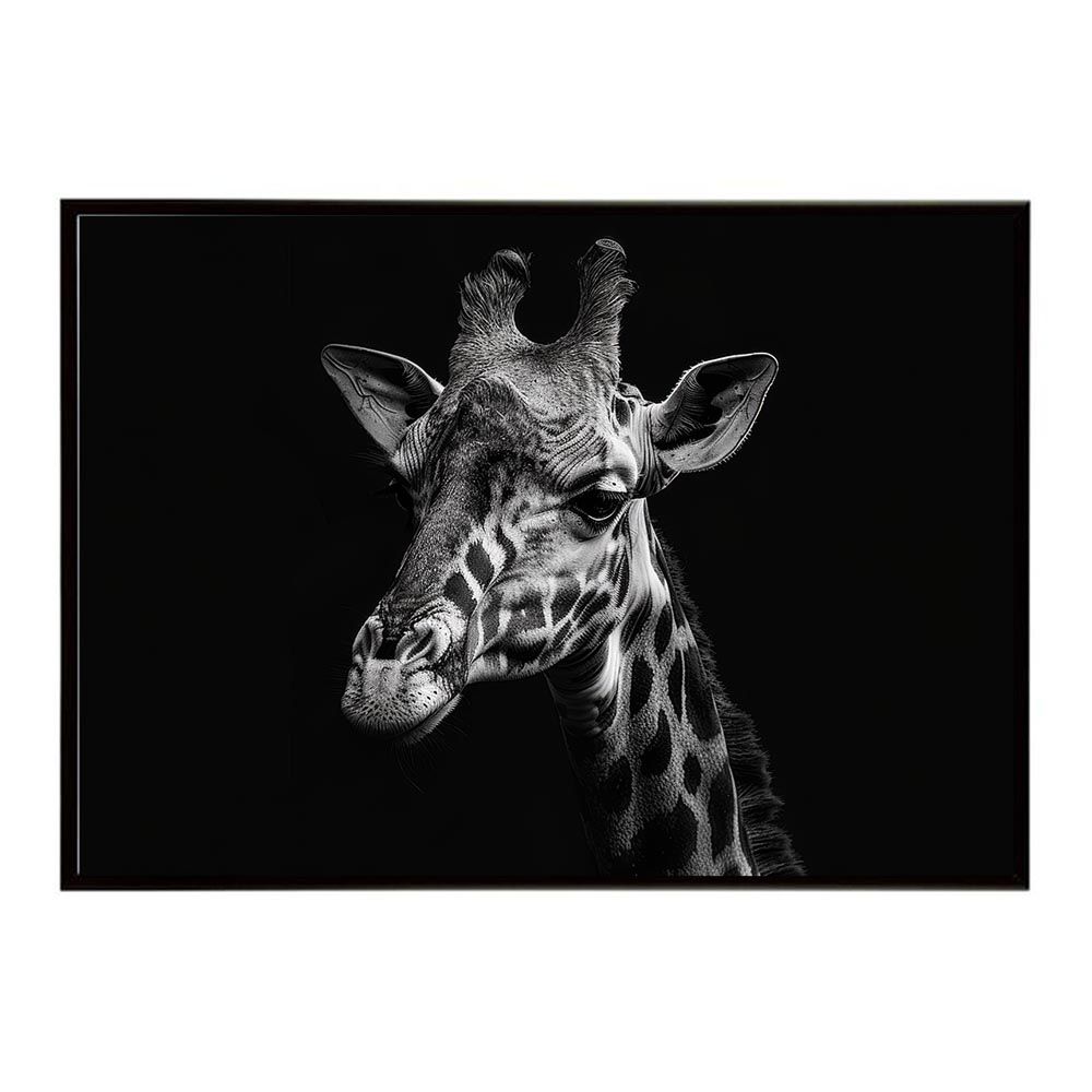 B1サイズ（約73x103cm）】【lh-poster-6448】Giraffe キリン ジラフ サバンナ アフリカ 草原 自然 ネイチャー 動物, image size:1000x1000