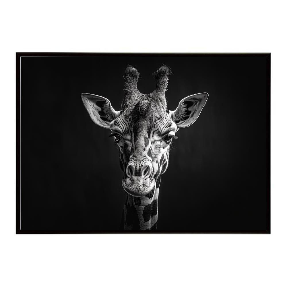 A1サイズ（約59x84cm）】【lh-poster-6462】Giraffe キリン ジラフ