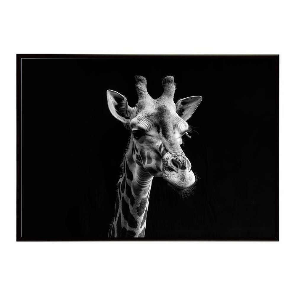 B3サイズ（約36x51cm）】【lh-poster-6465】Giraffe キリン ジラフ