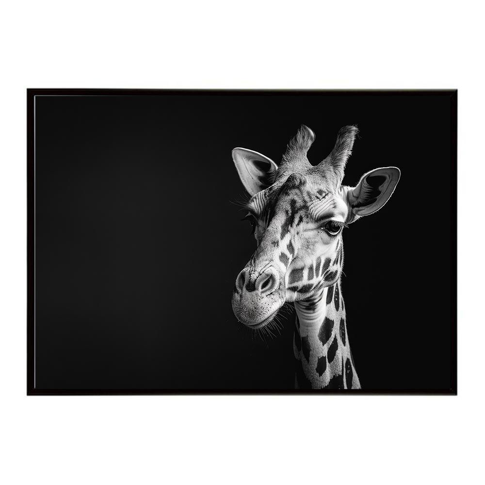 FUKA専用20素子V型白3黒3