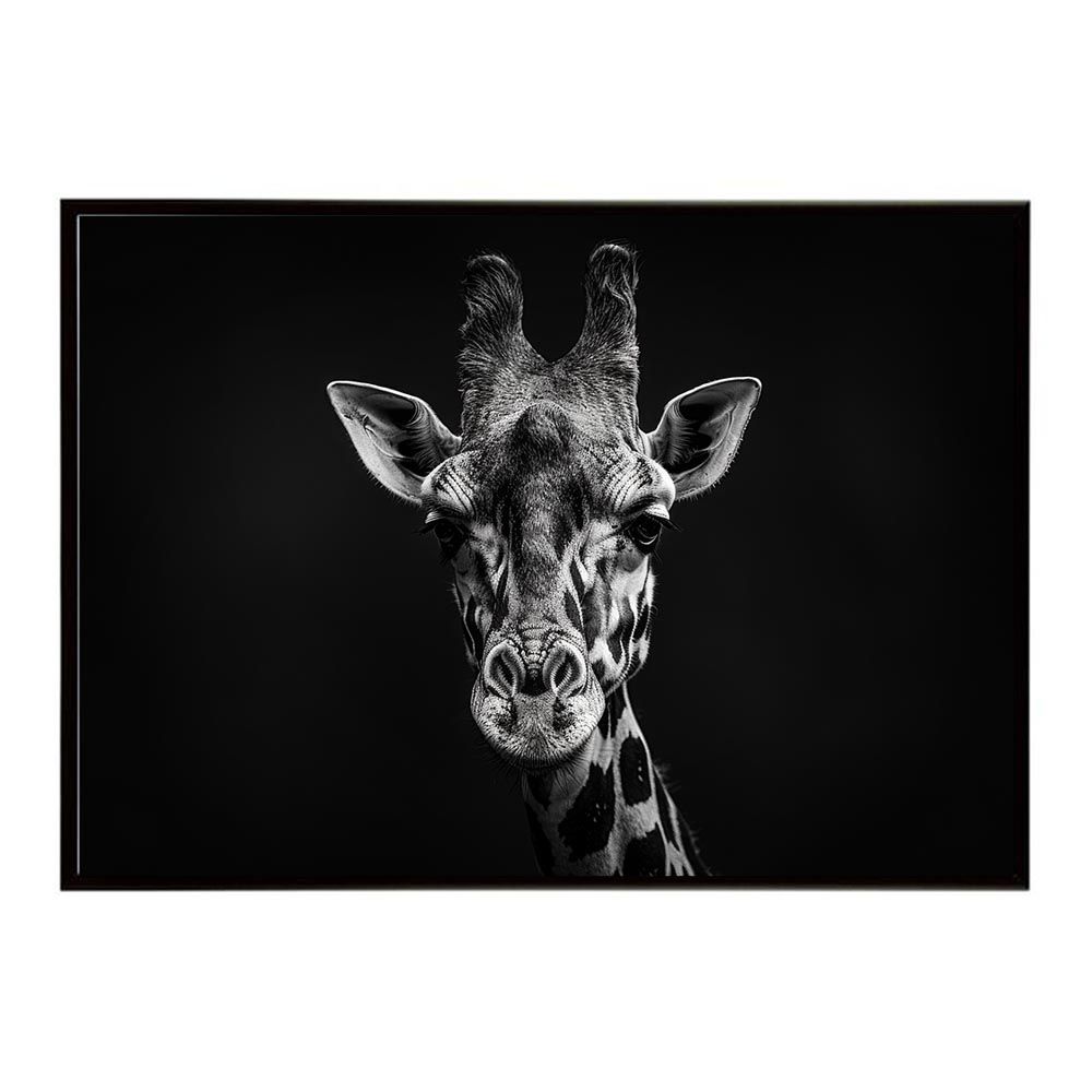 ☆8㎝CD☆松蔭女子学院校歌 CD