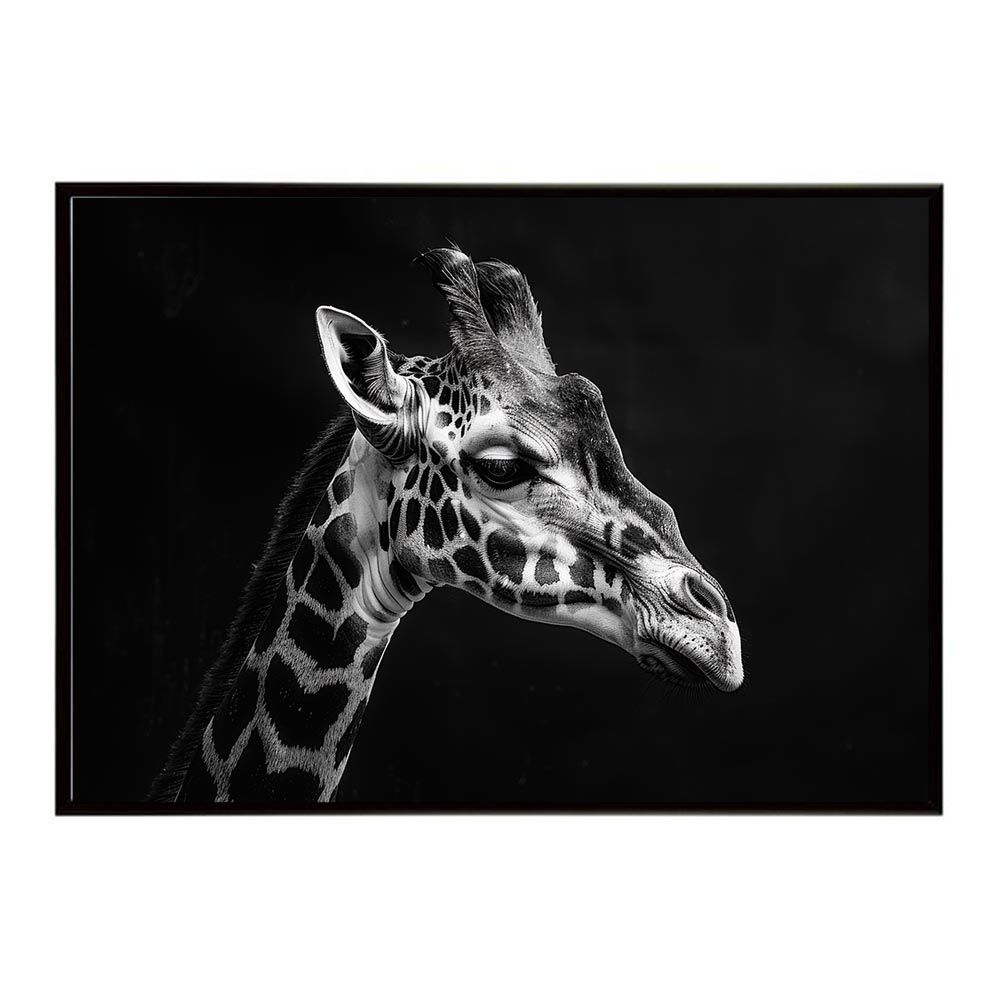 B4サイズ（約25x36cm）】【lh-poster-6468】Giraffe キリン ジラフ