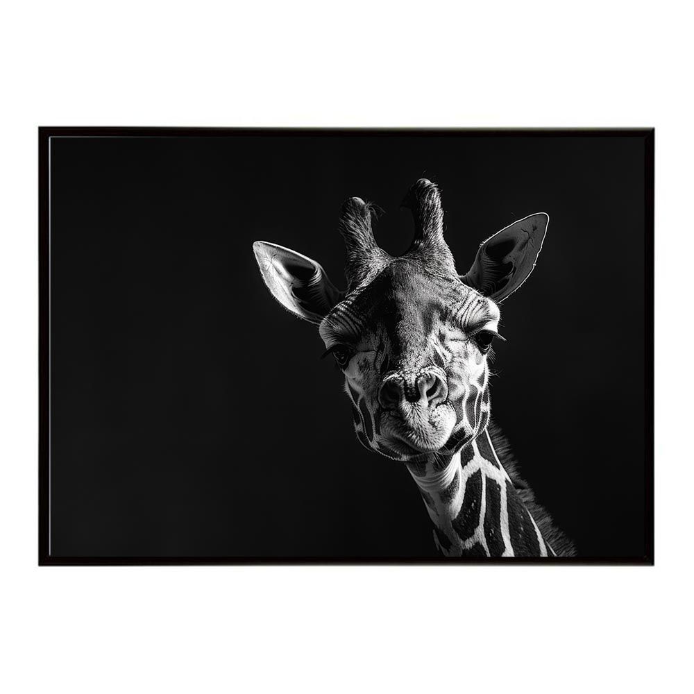【B2サイズ（約51x73cm）】【lh-poster-6473】Giraffe キリン ジラフ サバンナ アフリカ 草原 自然 ネイチャー 動物 アニマル 野生動物 インテリア フォト