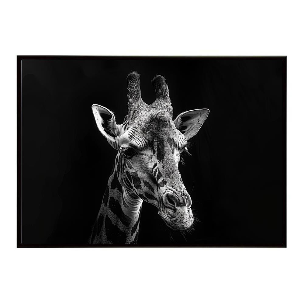 菅野よう子 with Symphony／天地創造 藤城清治メルヘン・コレクション