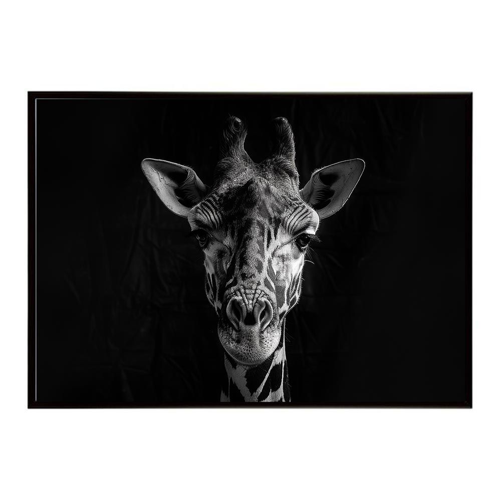 B4サイズ（約25x36cm）】【lh-poster-6484】Giraffe キリン ジラフ