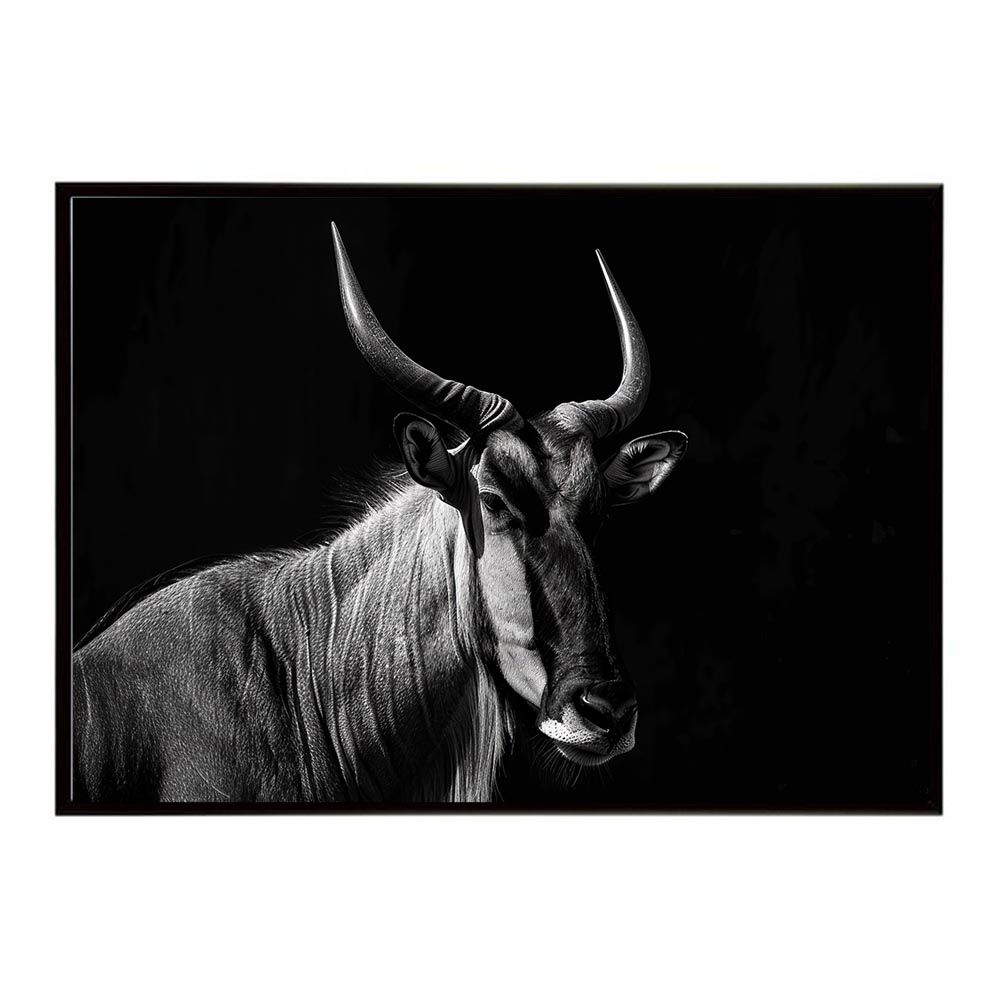 ジプシー ジプトリカルパレード 配布CD付