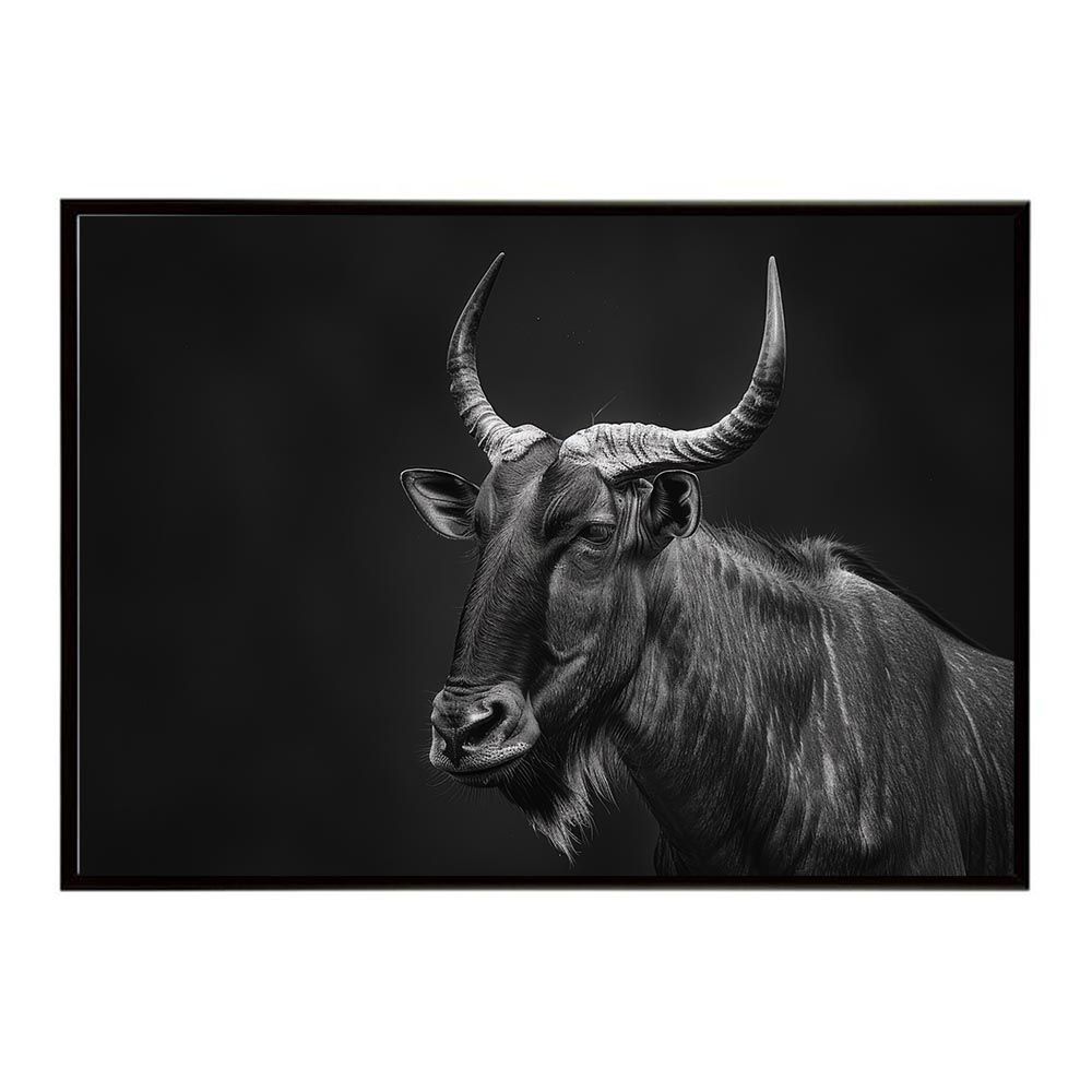【A2サイズ（約42x59cm）】【lh-poster-6502】Hartebeest ハーテビースト アンテロープ サバンナ アフリカ 草原 自然 ネイチャー 動物 アニマル 野生動物 写真 鹿ポスター インテリア フォト