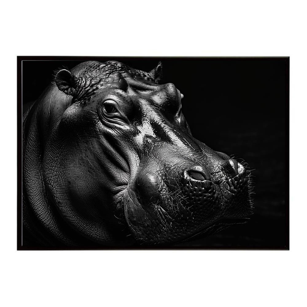 A2サイズ（約42x59cm）】【lh-poster-6522】Hippopotamus カバ