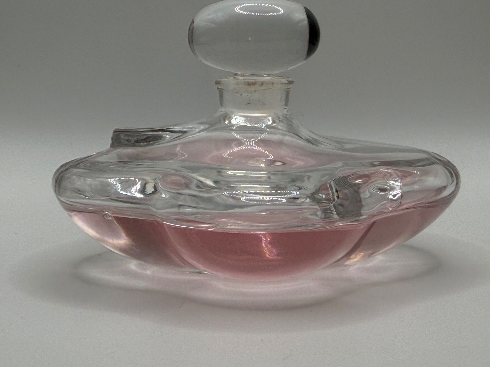 ☆非売品☆資生堂 1997年 花椿CLUB 感謝品 カメリア・シュベリエール 
