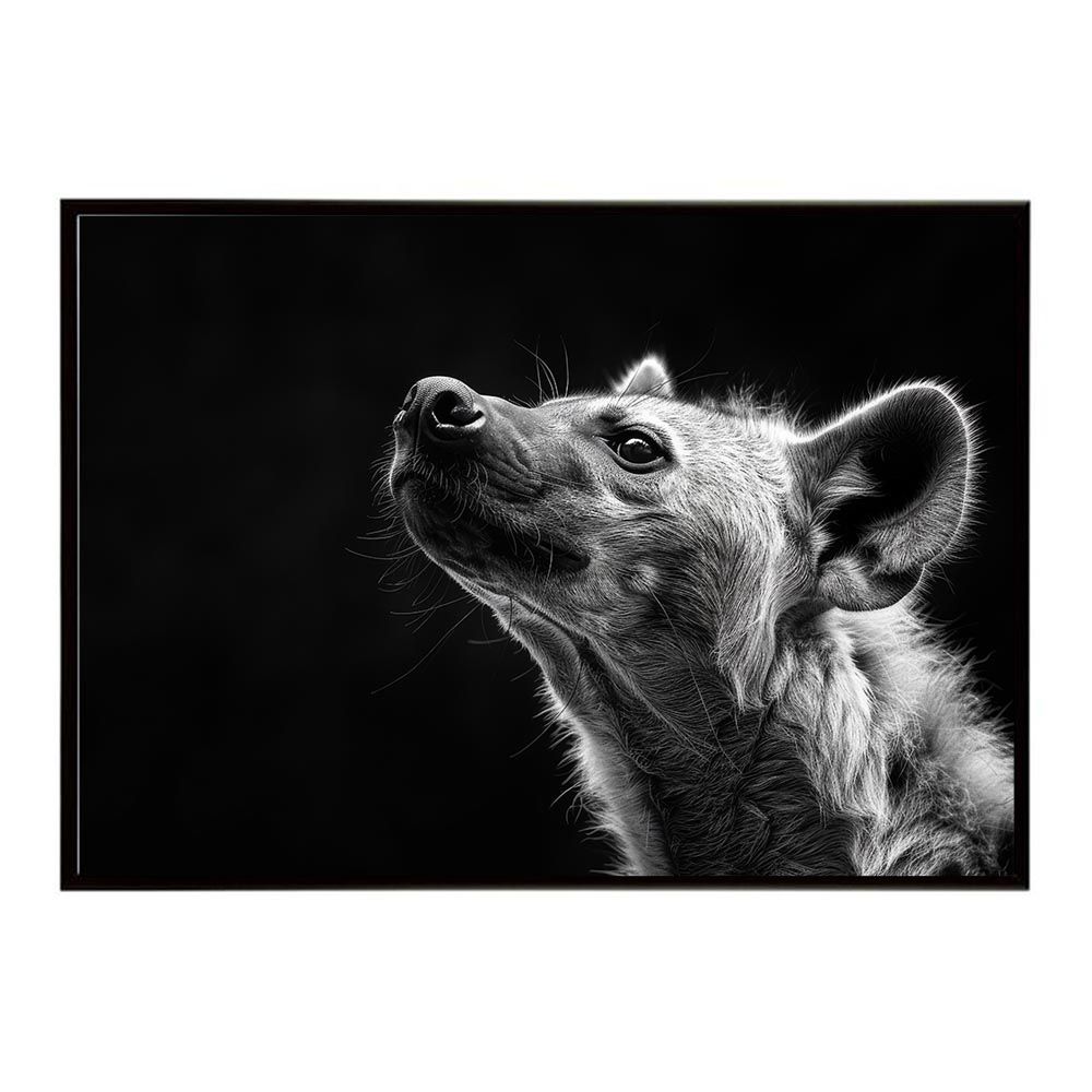 トラネックスレチピール 安い 5本セット トラネックスレチピール 5本