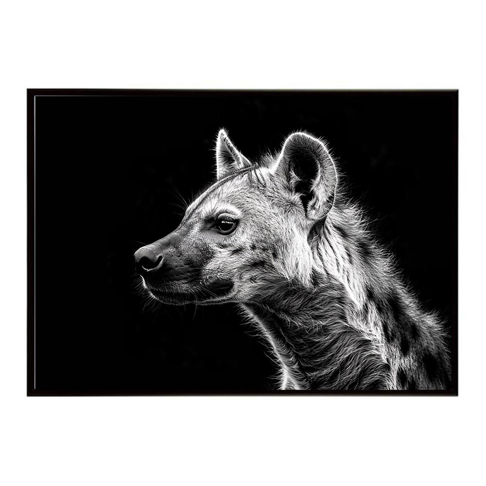 マウンテンリサーチ カヌー フィギュア 未使用品