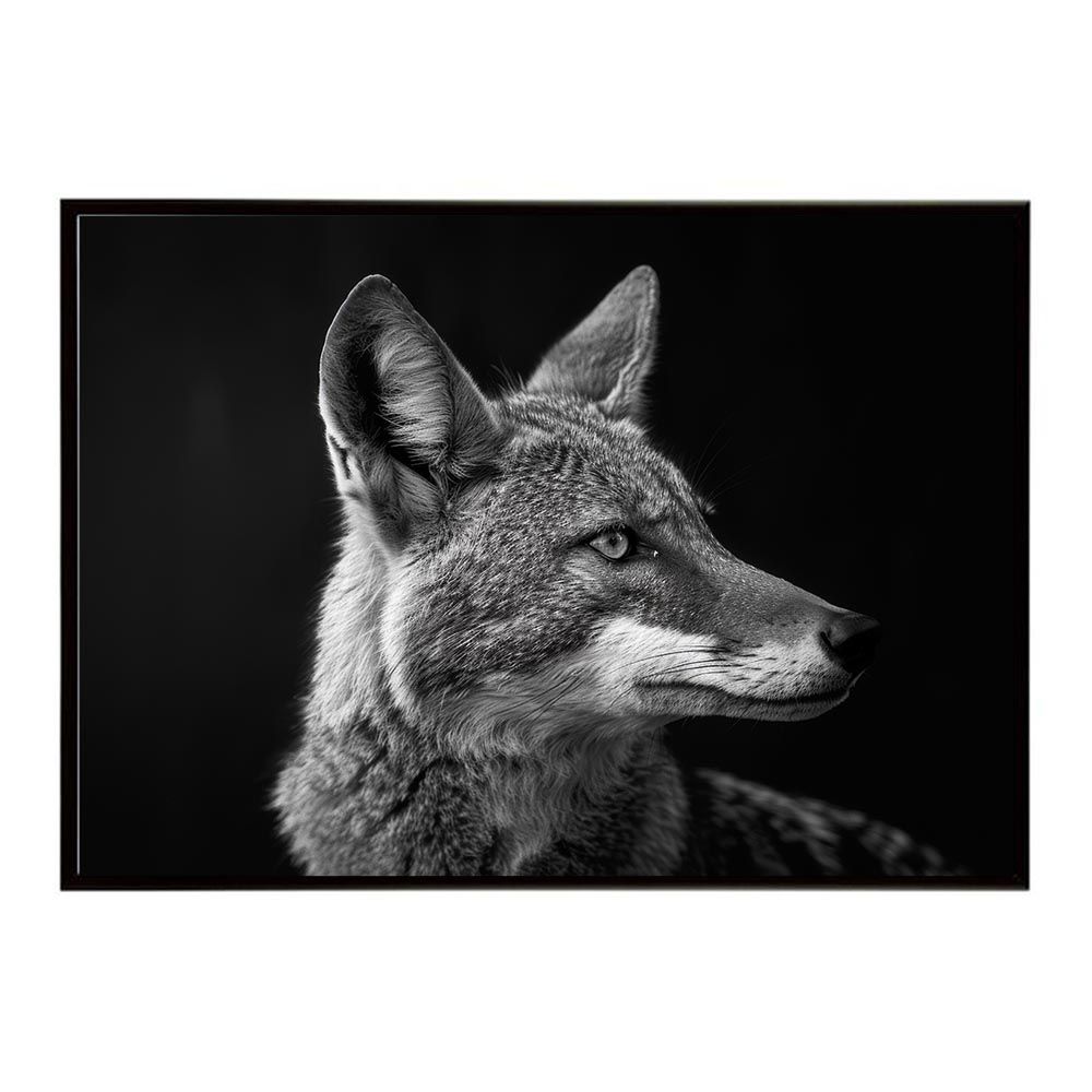 理容国家試験、通信、ダブルライセンス、道具セット 理容国家試験、通信、ダブルライセンス、道具セット