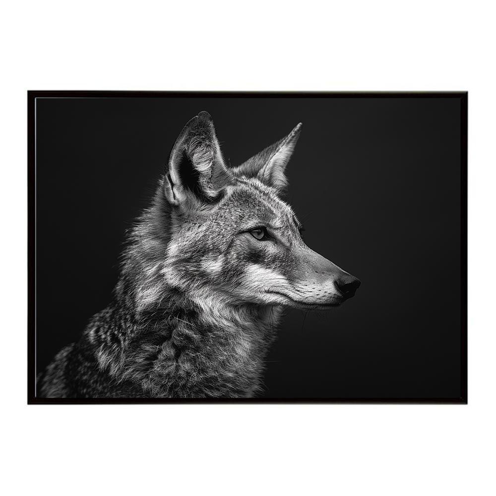 デフレパード DVD ロンドン・トゥ・ベガス(完全生産限定版)