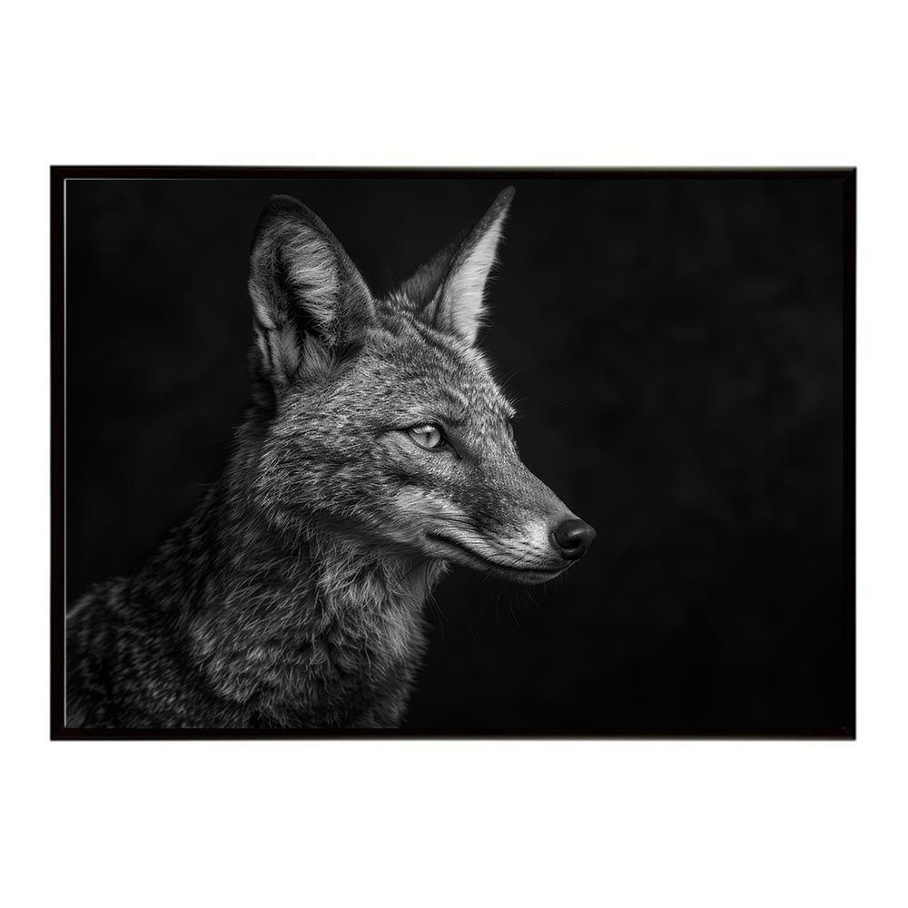 世界の野生蘭ORCHIDATLAS VOL. 3 Cattleya Laelia