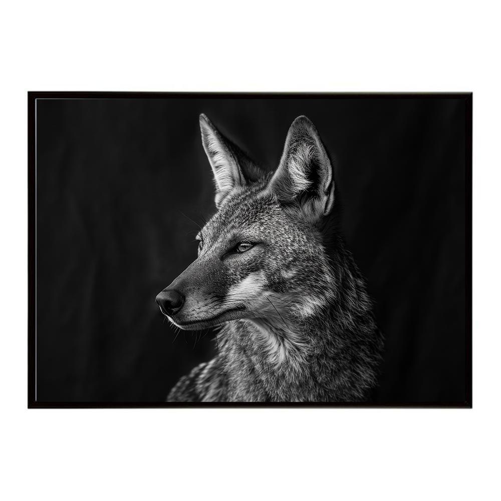 国画創作協会の全貌 ほぼ新品 購入