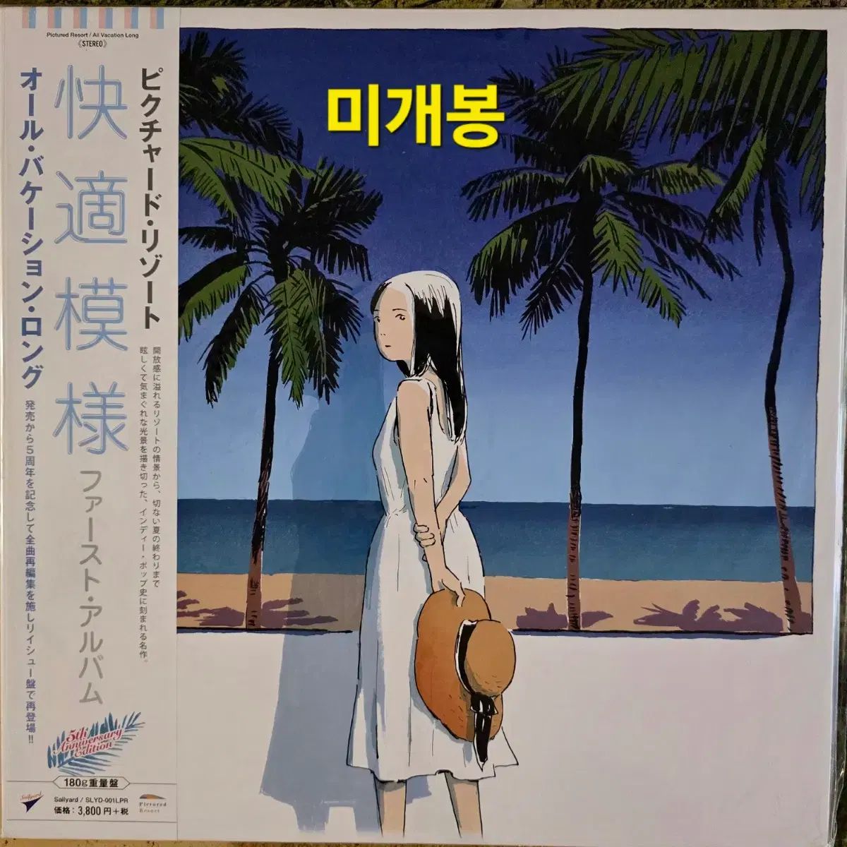 ピクチャード リゾート All Vacation Long LP