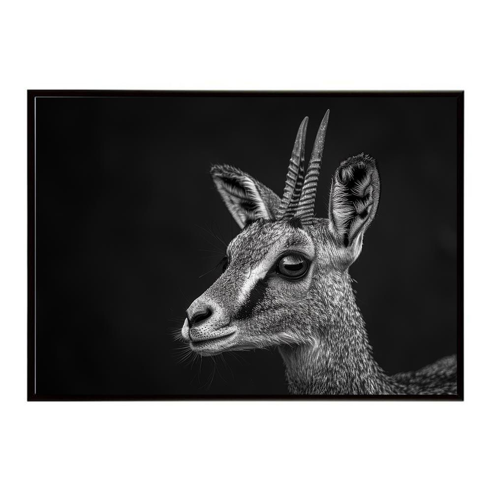 Vemuram Jan Ray no.10394 付属ドライバー有